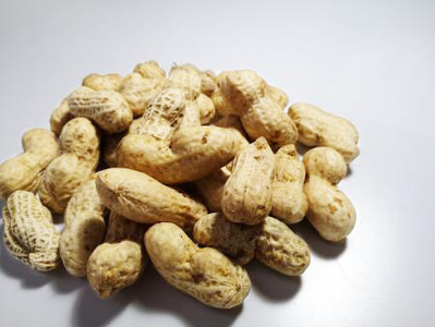大粒生落花生「おおまさり」1kg ◇ ｜ 落花生 大粒 ピーナッツ おつまみ 国産 おやつ 冷蔵 那須 栃木県 那須町〔P-81〕 ※2026年9月～発送