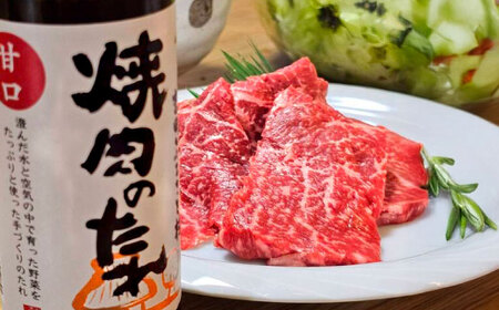 タレ 焼肉のたれ(中辛、甘口) 各3本 [AIBB002] 