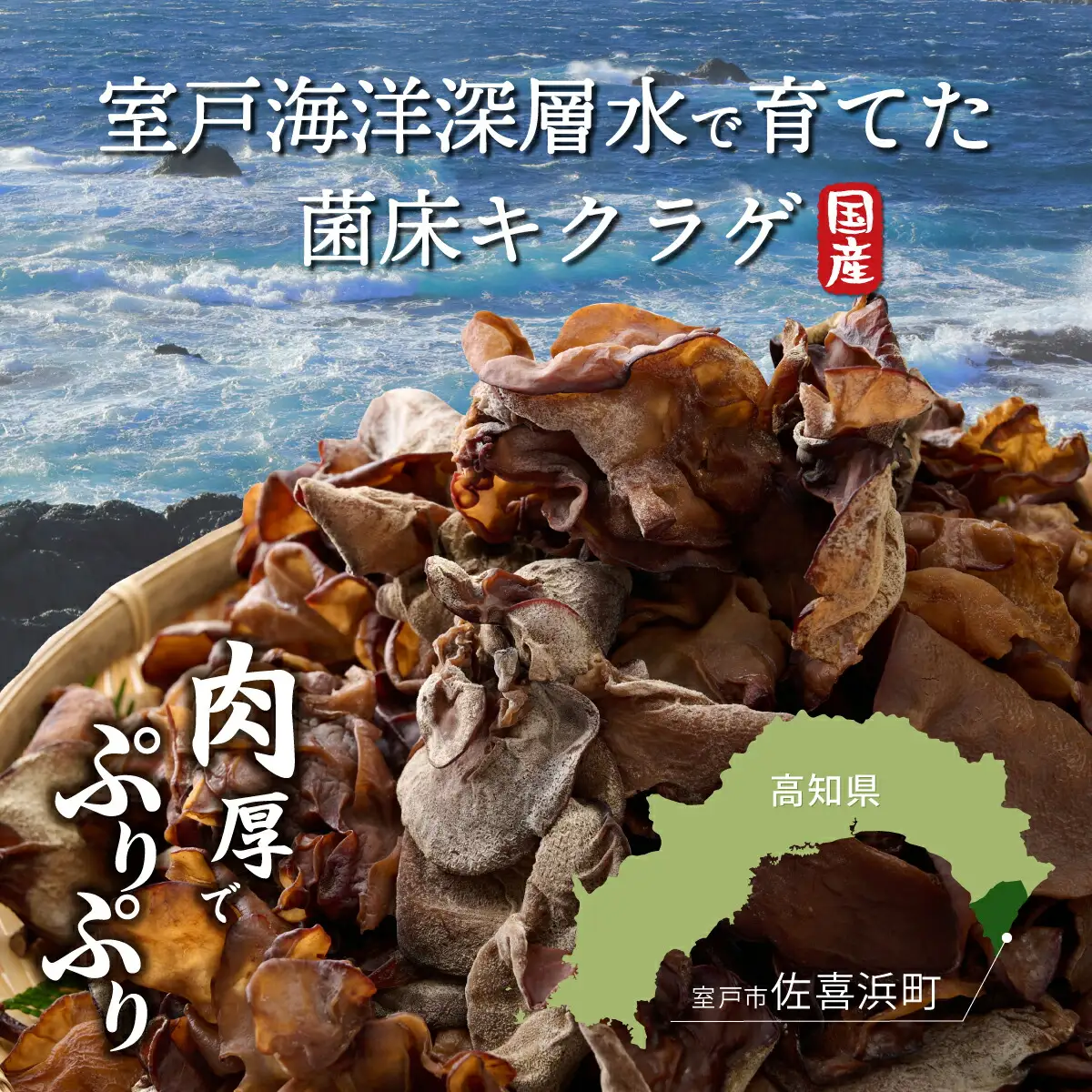 佐喜浜キクラゲ（生）　計８００ｇ（８０g×１０袋）