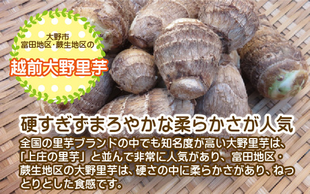 【先行予約】越前大野里芋 5kg ねっとりうまい煮崩れしない！【11月より順次発送】