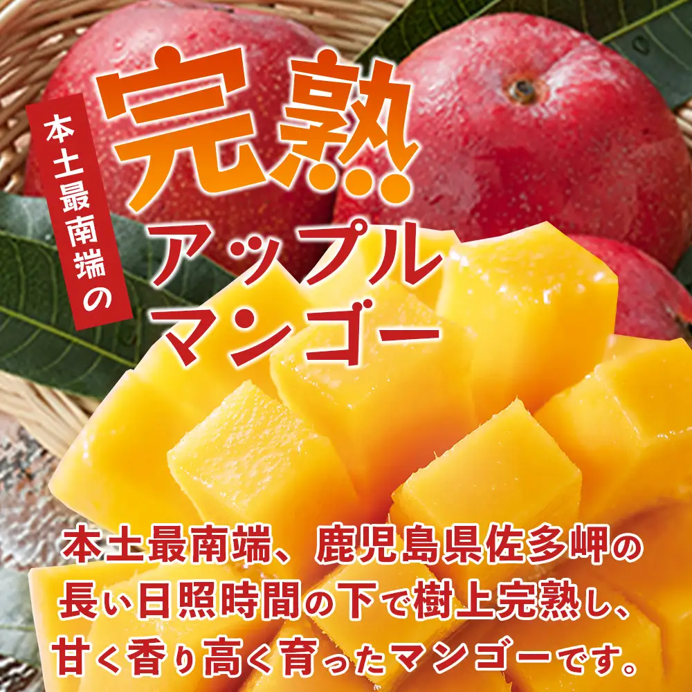≪先行予約・数量限定≫ ☆本土最南端☆佐多の果樹園で育てた 完熟アップルマンゴー 約2kg (3～5玉) 【2026年7月上旬以降順次発送】 ST-408 ｜鹿児島県 南大隅 産地直送 旬 マンゴー フルーツ 果物 くだもの 