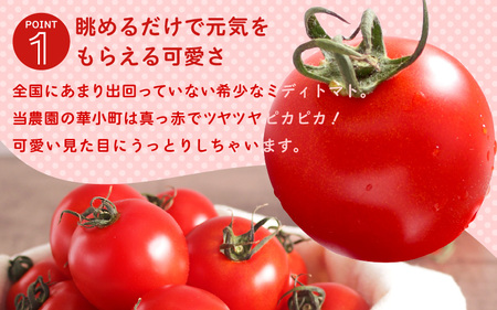 【先行予約】 有機減農薬 フルーツトマト 1kg 薄皮完熟 【2026年10月上旬以降順次発送予定】 【とまと ミディトマト 中玉トマト 野菜 やさい 新鮮 生食 アレンジ ジャム トマトソース サラダ 産地直送 国産】 [A-16206]