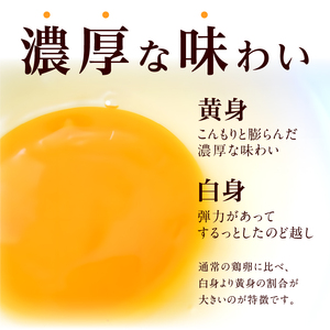 【6ヶ月定期便】名古屋コーチン卵(30個入り)×6回（計180個）　日本三大地鶏　小牧市発祥[006K03-T]コーチン卵 高品質卵 濃厚卵