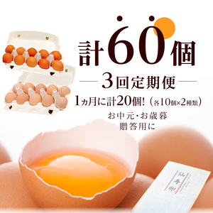 【3ヶ月定期便】名古屋コーチン卵・仙寿卵お試しセット（各10個入り）×3回（計各30個） 日本三大地鶏　小牧市発祥[006K02-T]コーチン卵 仙寿卵 高品質卵 濃厚卵