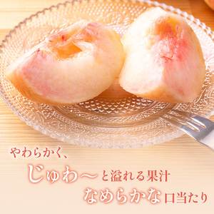 【2026年発送】志賀高原の麓で育った 桃（白鳳系）特秀10玉 約2.5kg 桃 もも 白鳳 フルーツ 果物 デザート 長野