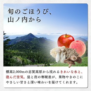 【2026年発送】志賀高原の麓で育った シナノドルチェ 秀16玉 約5kg りんご フルーツ 果物 おやつ 長野県 長野
