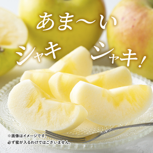 【2026年発送】志賀高原の麓で育った ぐんま名月 秀18玉 約5kg りんご 5kg フルーツ 果物 デザート 長野