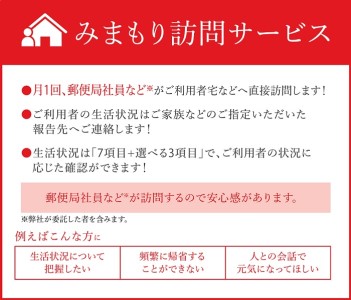 郵便局のみまもりサービス「みまもり訪問サービス」（12カ月）【日本郵便株式会社】[E8301]
