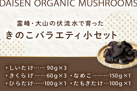 オーガニックきのこバラエティ小セット約800g（5種9パック入）