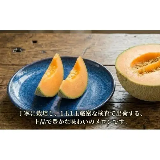 メロン 北海道 追分アサヒメロン〔秀品〕2玉（5玉サイズ）安平町産【1395534】