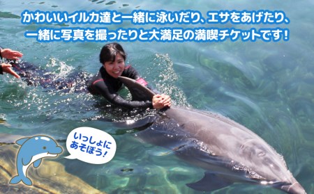 イルカと泳ごう！（イルカとふれあい体験） | イルカ 津久見市