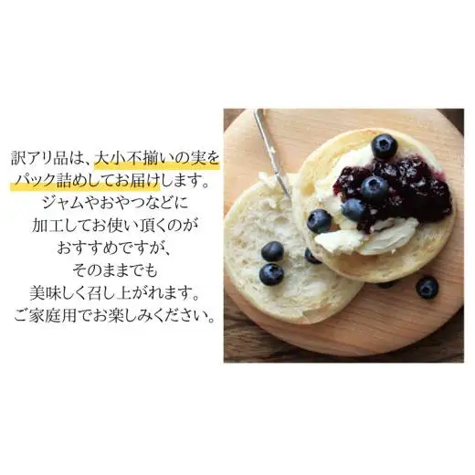 《 先行予約 》ブルーベリー 大小不揃い 約 1kg【2026年6月中旬頃より発送開始】訳アリ B品 お得 甘い 甘酸っぱい 産地直送 おやつ デザート ジャム スムージー
