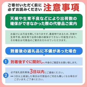 さくま梨園 豊水梨 梨 果物 フルーツ 秋 3kg ギフト 贈答用 笠間市 茨城県 EU-002