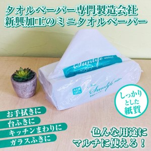 ペーパータオル ニューサンライフミニ エコノミーサイズ 200枚×40パック 厚み十分 ハンドタオル 再生紙100％ SDGs 生活用品 消耗品 新興加工 静岡県 富士市 日用品 [sf002-179]