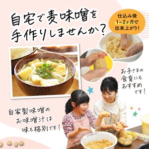 「かねよみそ しょうゆ」麦味噌 手作りキット 3kg K058-004 調味料