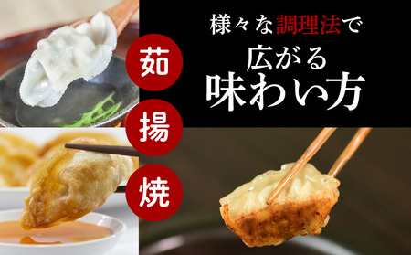【第1回 日本全国！ ご当地冷凍食品大賞 2024-2025 優秀賞受賞！】鹿児島黒豚100%餃子 64個入り K027-009 肉 豚肉 惣菜 総菜 冷凍