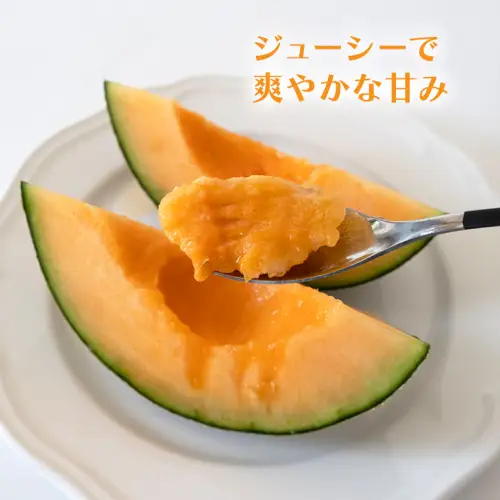 【先行受付】メロン タカミレッドメロン 1箱 3玉～5玉  2026年発送
