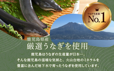 「うなぎ処 さいしょ」うなぎの蒲焼セット 3切×2パック K030-001 魚 惣菜 総菜