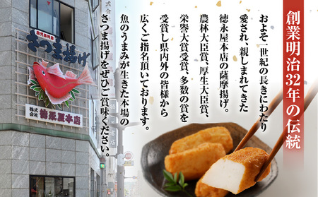 【5営業日以内に発送】徳永屋本店 さつま揚げ詰合せ K031-001 スピード配送 最短 すぐ届く お急ぎ