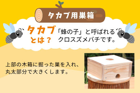 タカブ用飼育箱 蜂 巣箱 タカブ 蜂の子 木箱 養蜂 ハチミツ 蜂蜜 クロスズメバチ 飼育 40500円