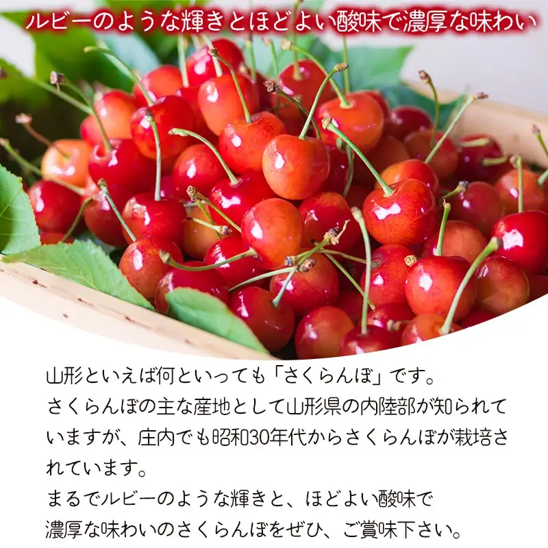【令和8年産】さくらんぼ 佐藤錦　バラ詰め 1kg　Lサイズ以上　山形県鶴岡市　鶴岡中央青果　| サクランボ チェリー 山形 鶴岡 庄内産  東北 果物 くだもの フルーツ 1キロ  産地直送 甘い 完熟 旬の果物 果実 人気 美味しい お取り寄せ 返礼品