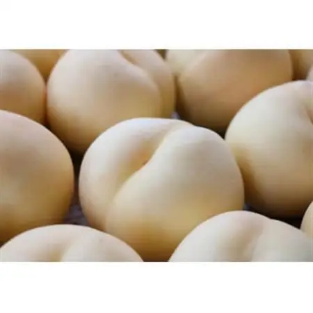 【うちだ農園coucou!】城陽特産たっぷり!無添加ジャムセット_惣菜・加工品 ジャム 缶詰・瓶詰 _【1400011】
