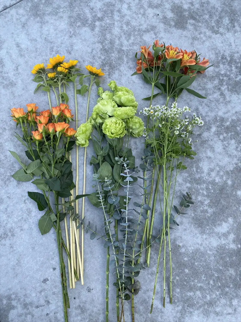 【お花の定期便】素材を楽しむ季節のお花(全12回）【素材を楽しむ季節のお花 フラワーライフ 切り花セット 毎月お届け 花本来の長さ 季節のお花 ご自宅にお届け 生け花 観賞用 飾り用 旬の枝物 全12回 神奈川県 小田原市 花 花】