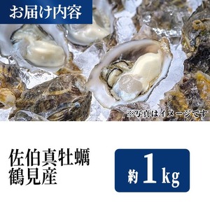 佐伯真牡蠣 鶴見産 (約1kg) 牡蠣 カキ 新鮮 小分け 生牡蠣 生カキ カキフライ 鍋【生食可】【EW061】【Up】