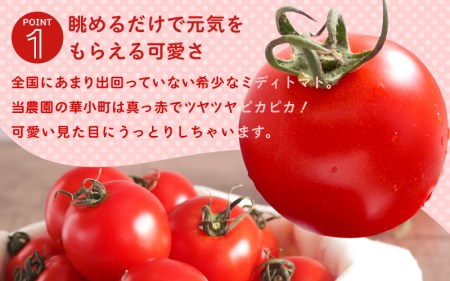 【先行予約】 有機減農薬 フルーツトマト 2kg 薄皮完熟 【2026年10月上旬以降順次発送予定】 【とまと ミディトマト 中玉トマト 野菜 やさい 新鮮 生食 アレンジ ジャム トマトソース サラダ 産地直送 国産】 [A-16207]