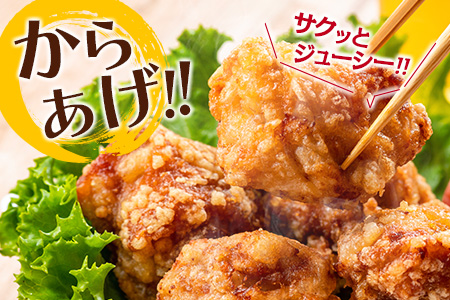 小分けで便利!! 真空パック 数量限定 鶏もも肉 定期便 3か月 お楽しみ 鶏肉 もも 切身 総重量9kg 国産 鳥 チキン カット 人気 小分け おかず お弁当 おつまみ 食品 から揚げ 焼肉 モモ肉 万能食材 大満足 おすそ分け お取り寄せ 宮崎県 日南市 送料無料_GD9-25