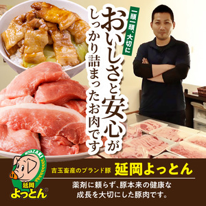 延岡よっとん 肩ロースブロック約1kg N003-YA967
