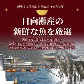 【冷蔵】豪華白身の饗宴！延岡産活〆真鯛とヒラメの新鮮お刺身セット N019-YB723