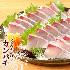 延岡産活〆カンパチと真鯛の新鮮お刺身セット N019-YB435