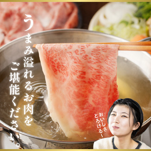 宮崎牛ロｰスしゃぶ N023-YZC004