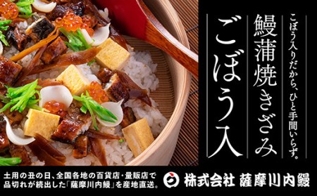 DS-612　国産きざみうなぎ ごぼう入り（タレ付き） 合計1700g(85g×20袋)