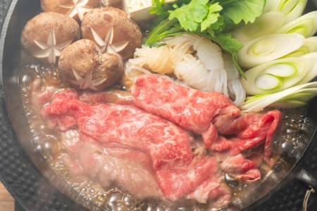 訳あり 博多和牛 しゃぶすき 部位おまかせ 500g ＆ あまおう 800g セット / MEAT PLUS / 福岡県 筑紫野市 [21760384]