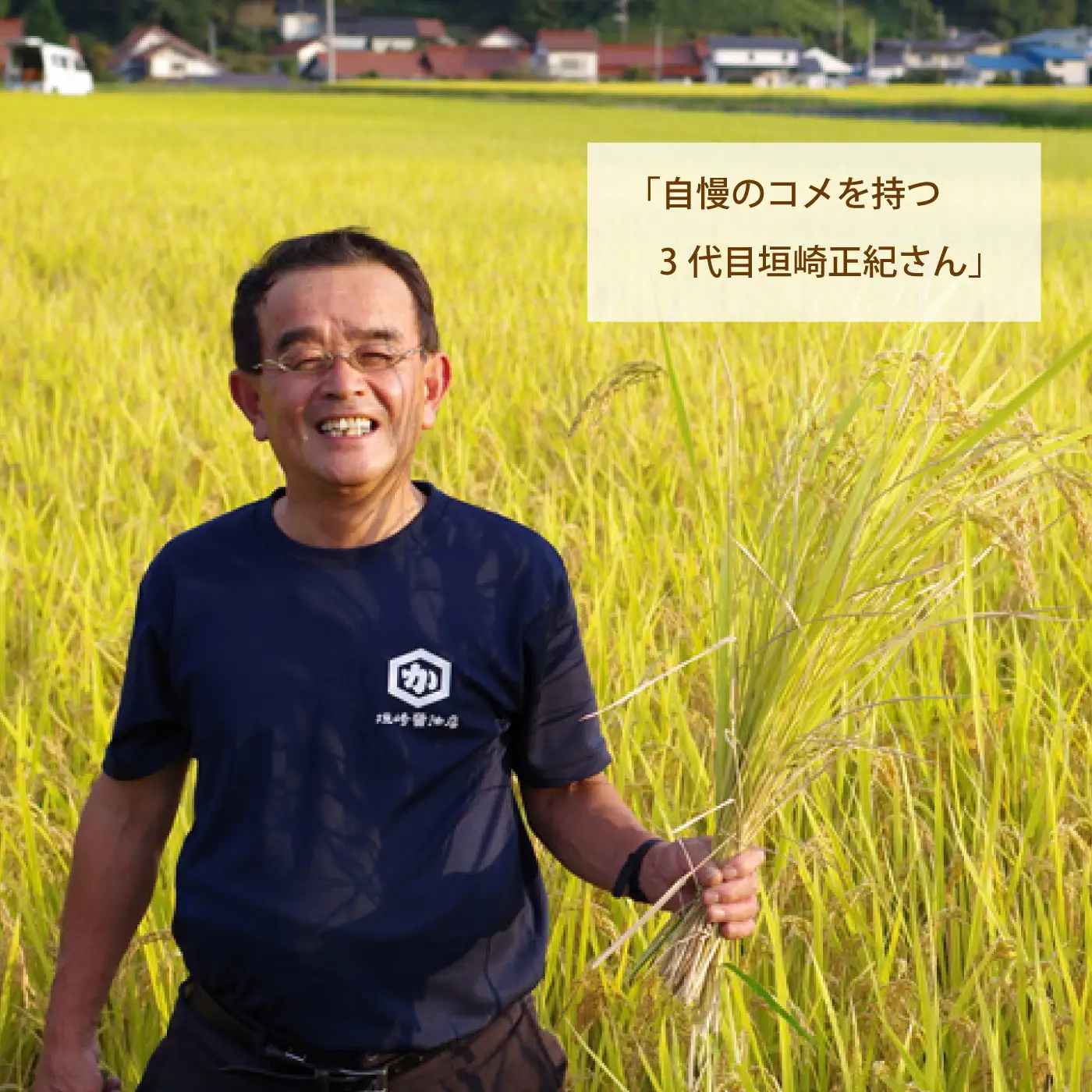 【定期便】有機あまざけ930ｇ×6本 全3回（2カ月に1回）