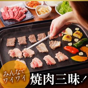 宮崎牛・宮崎ブランドポーク焼肉セット（10～15人前） N023-YZG006