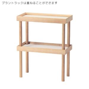 旭川家具　コサイン　プラント ラック (S) 【 旭川家具 北海道 旭川市 木製  家具 北海道産材 タモ タモ材 ヤチダモ 観葉植物 花台 ディスプレイ台 飾り台 モイス板 吸湿板付き 植物台 園芸 地材地消 シンプル ナチュラル 手作り 北欧 おしゃれ 天然木 無垢 】_01871