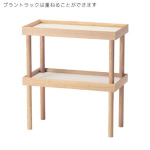 旭川家具　コサイン　プラント ラック (L) 【 旭川家具 北海道 旭川市 木製  家具 北海道産材 タモ タモ材 ヤチダモ 観葉植物 花台 ディスプレイ台 飾り台 モイス板 吸湿板付き 植物台 園芸 地材地消 シンプル ナチュラル 手作り 北欧 おしゃれ 天然木 無垢 】_01872