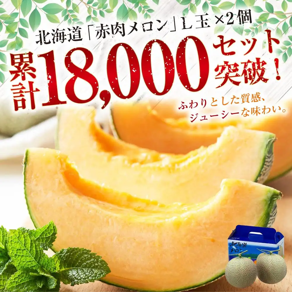 【先行予約】北海道 赤肉メロン L玉×2個 (2026年7月発送開始) メロン
