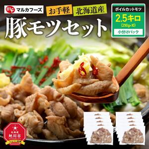 お手軽　“北海道産”豚モツセット 2.5キロ小分けパック（250g×10）モツ _00573