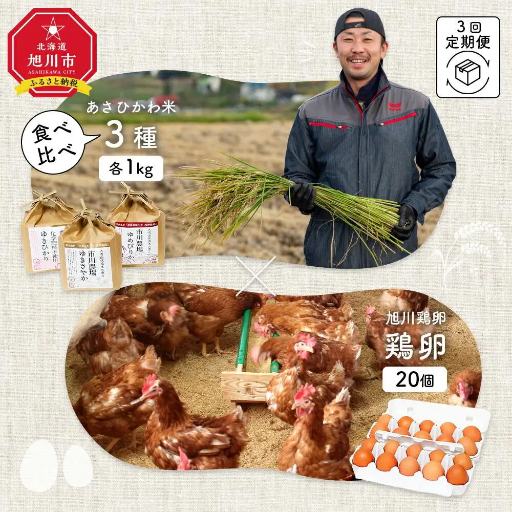 【定期便3回】あさひかわ米3種と卵の食べ比べ | たまご 米_00548