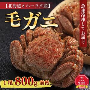 【着日指定可】北海道オホーツク産　毛ガニ　1尾　800ｇ前後 | 毛ガニ_01190