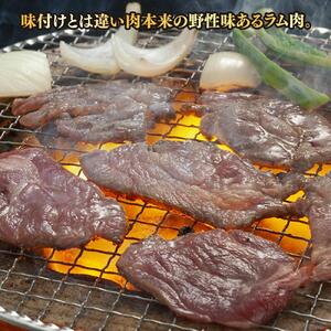 柔らか厚切り生ラムジンギスカン　1ｋｇ（500ｇ×2）たれセット | ジンギスカン _01186