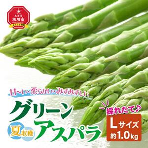 【先行予約】夏収穫グリーンアスパラ Lサイズ 1kg（2026年7月上旬から発送開始）| アスパラ 北海道 _00414