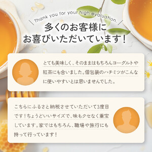 【スティックはちみつ】アカシア 2.5g×100本入 | はちみつ _00512