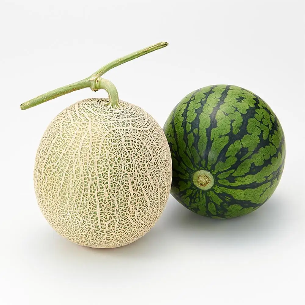 【先行予約】北海道産青肉メロン・小玉スイカ セット(各1.6kg×1) (2026年7月中旬から発送開始) | メロン_02065