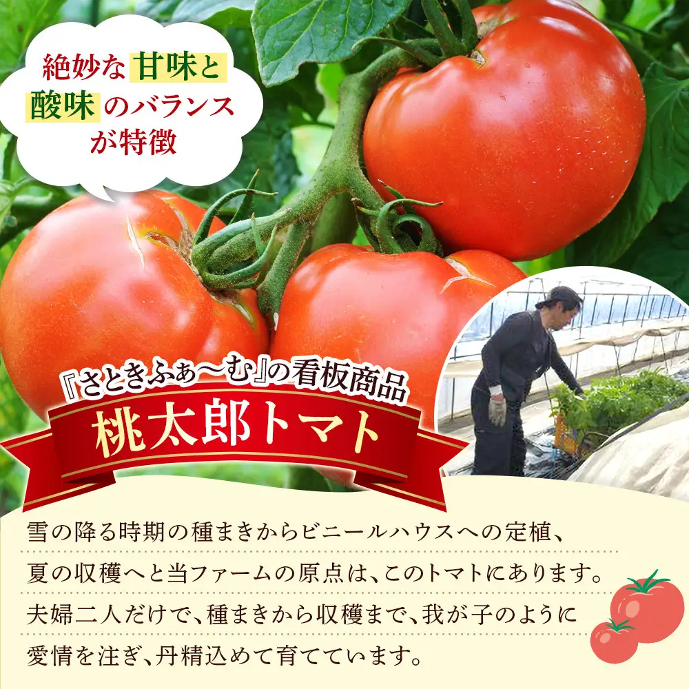 旭川市西神楽産 桃太郎トマト4kg（2026年6月中旬～発送開始予定）トマト _00960