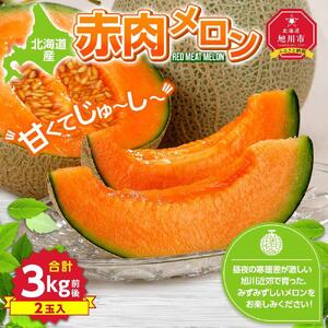 【先行予約】北海道産赤肉メロン合計3kg前後（2玉入）2026年7月中旬から順次発送予定 | メロン_01979